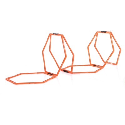 SVELTUS Training ladder