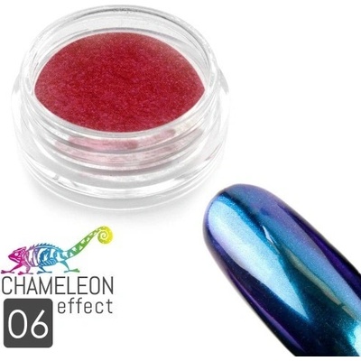 Allepaznokcie chameleon efekt pigment