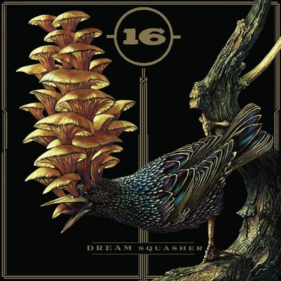 16 - DREAM SQUASHER LTD. LP