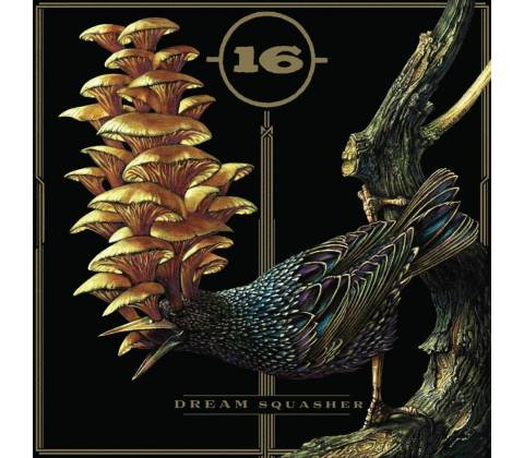 16 - DREAM SQUASHER LTD. LP
