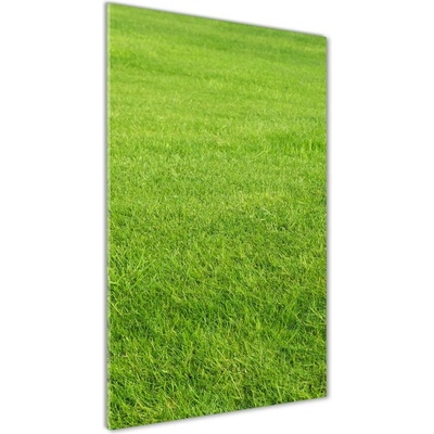 Vertikálny foto obraz sklenený Zelená tráva 50x100 cm