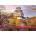 Ravensburger - Puzzle Impressive castles and chateaux: Himeji, Japan - 1 000 piese