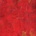Nadja - Luminous Rot CD
