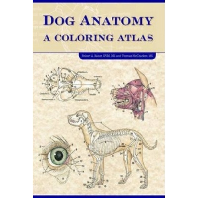 Dog Anatomy | Robert A Kainer