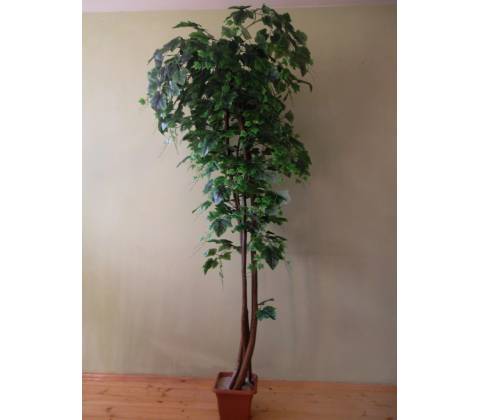 Hrozno zelené 200 cm
