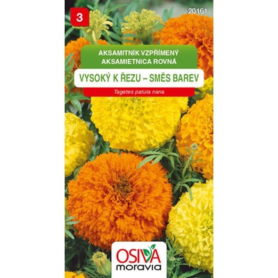 Semínka Aksamitník Vzpřímený - vysoký k řezu, směs barev (Tagetes erecta)