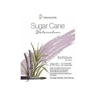 Hahnemuhle Skicár 8 x 10,5 cm na akvarel Sugar Cane lepená väzba 290g/m2 12 listov