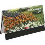 TOPTIMER Настолен календар с картинки TOPTIMER T054, стоящ, бял, плосък, Kertész, черен, 2027 (T541T-003)