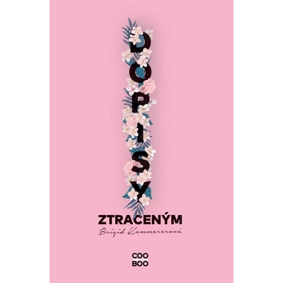Dopisy ztraceným - Brigid Kemmerer