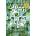 Fall Down 7 Times Get Up 8