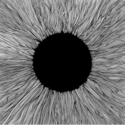 VOLA - WITNESS CD