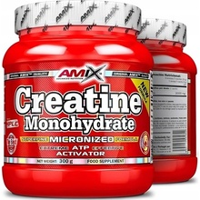 Amix Creatine monohydrate 300 g