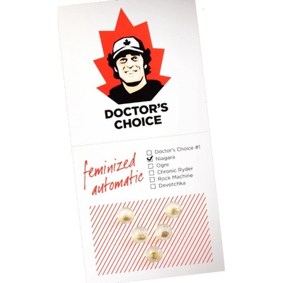Doctor's Choice Niagara semienka neobsahujú THC 1 ks