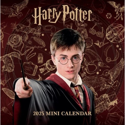 CurePink Oficiální nástěnný mini Harry Potter 17,8 x 17,8|35,6 cm [35725P] 2025