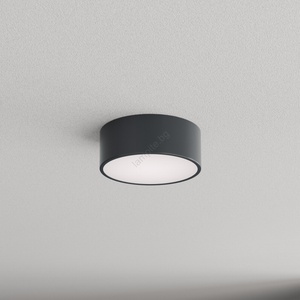 Brilagi - Баня. Таванно осветително тяло CLARE 1xE27/24W/230V Ø 20 см антрацит IP54 (BG5218)