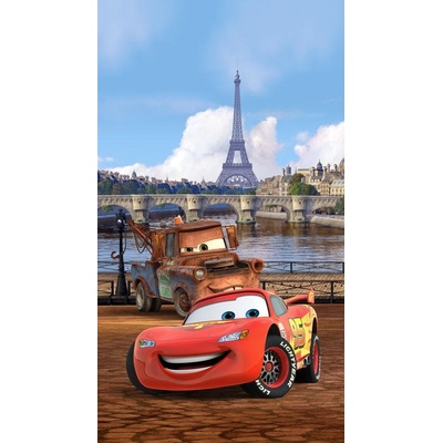 Fotozáclony Cars in Paris 140x245cm FCS L 7101