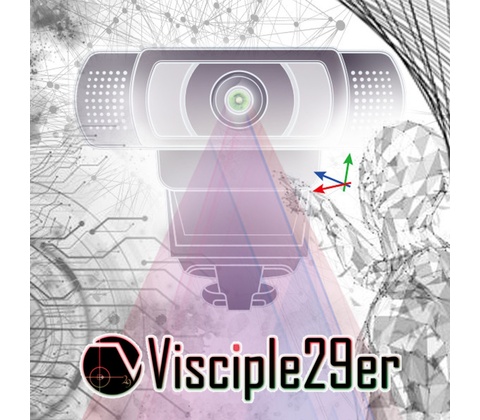 Visciple29er