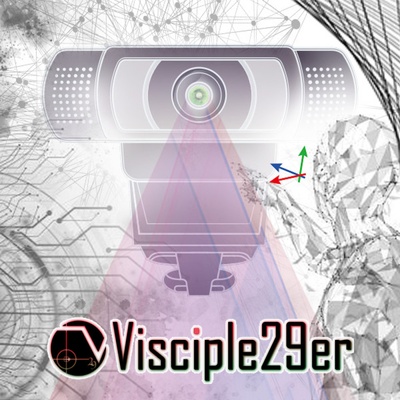 Visciple29er
