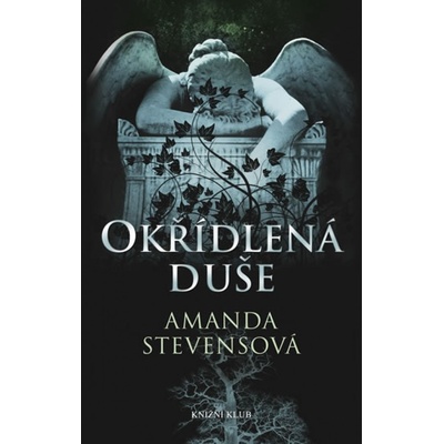 Okřídlená duše - Amanda Stevensová