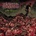 Internal Bleeding - Settle ALL Scores CD
