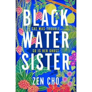 Black Water Sister (ISBN: 9781509800018)