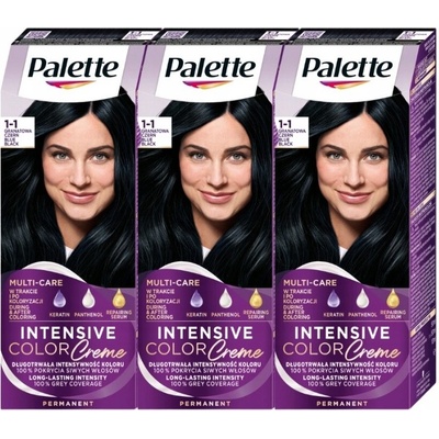 Palette Barva na vlasy C1 1-1 tmavě modrá černá x3