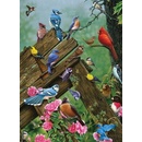 Cobble Hill Birds of the Forest 1000 dielov
