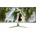 Arozzi NOVA 34T2K165 Forest Green