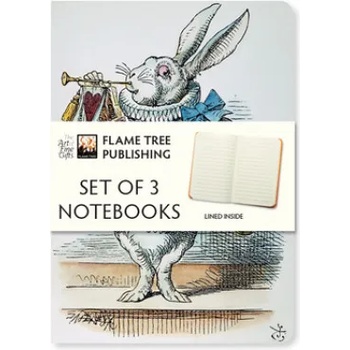 Flame Tree Publishing Alice in Wonderland Set of 3 Mini Notebooks