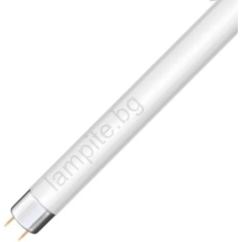 NBB Флуоресцентна тръба T8 G13/15W/90V 6500K 43, 8 cm (N108106)