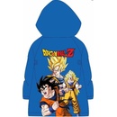 E plus M Dragon Ball