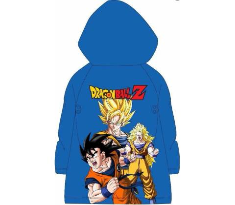 E plus M Dragon Ball