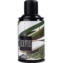 Spring Air náplň do osviežovača EUCALYPTUS SPRAY 250 ml