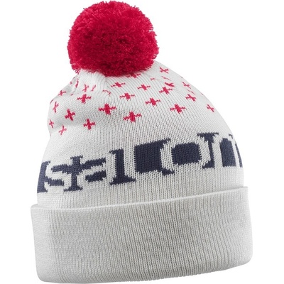 Salomon Free vaporous g/cherry/night 17/18