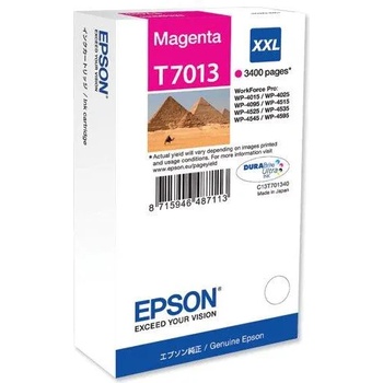 Epson T7013