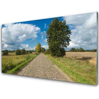 Obraz na skle Vesnice Cesta Dlažba Krajina 100x50 cm