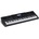 Casio WK 6600