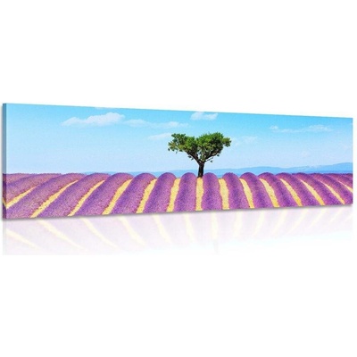 Obraz provensálské levandulové pole - 90x30