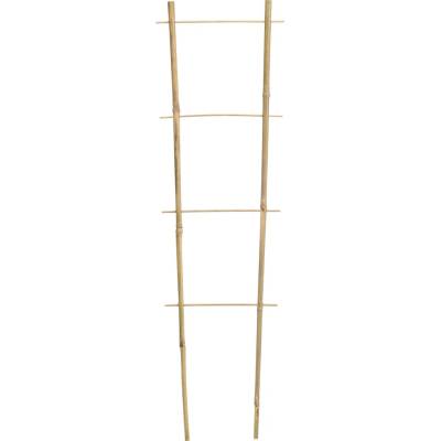 Dvojitá bambusová opora pro popínavé rostliny 45 cm