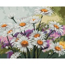 Zuty Maľovanie podľa čísel HARMANČEK NA LÚKE