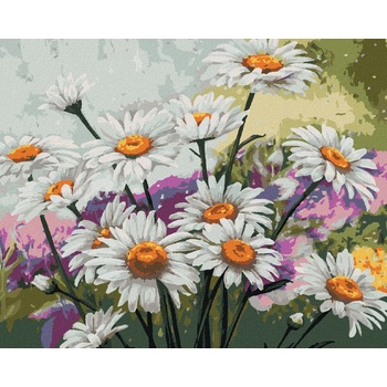 Zuty Maľovanie podľa čísel HARMANČEK NA LÚKE