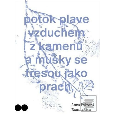 Tanec světlem - Anna Pokorná