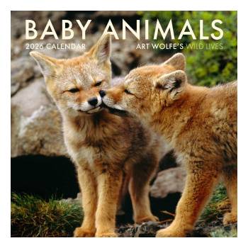 Earth Aware Editions 2026 Baby Animals Wall Calendar | Wolfe, Art