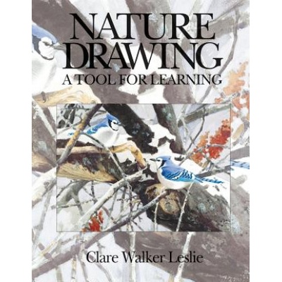 Nature Drawing: A Tool for Learning