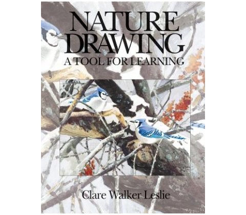 Nature Drawing: A Tool for Learning
