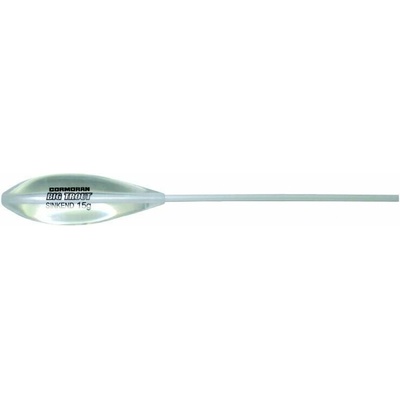 Cormoran Sbirulino Big Trout Slow Sinking clear 25g
