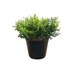  Изкуствен бонсай в саксия 16см kd07152 (3447323)