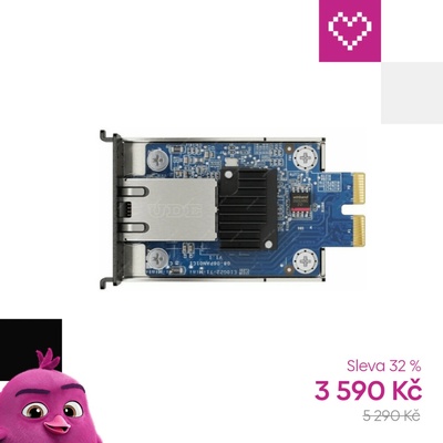 Synology E10G22-T1-Mini – Zboží Živě
