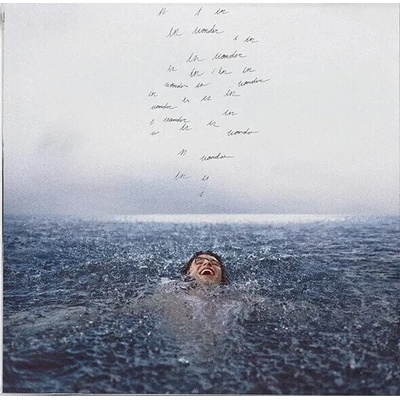 Shawn Mendes - Wonder (CD) (602435247441)