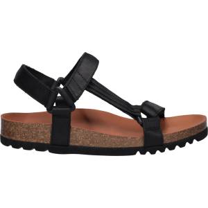 Scholl Heaven ad 36